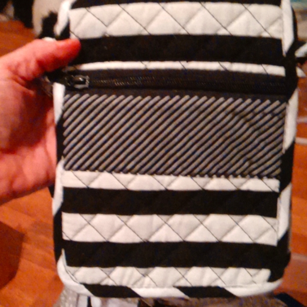 Quilted Crossbody purse